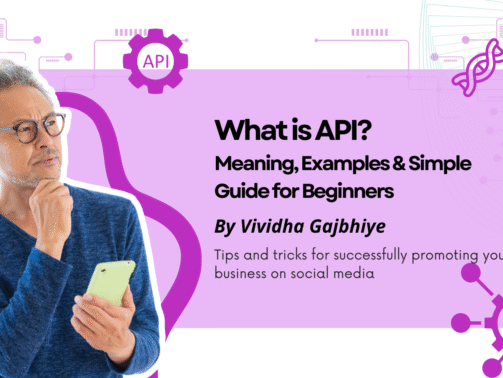 what is API